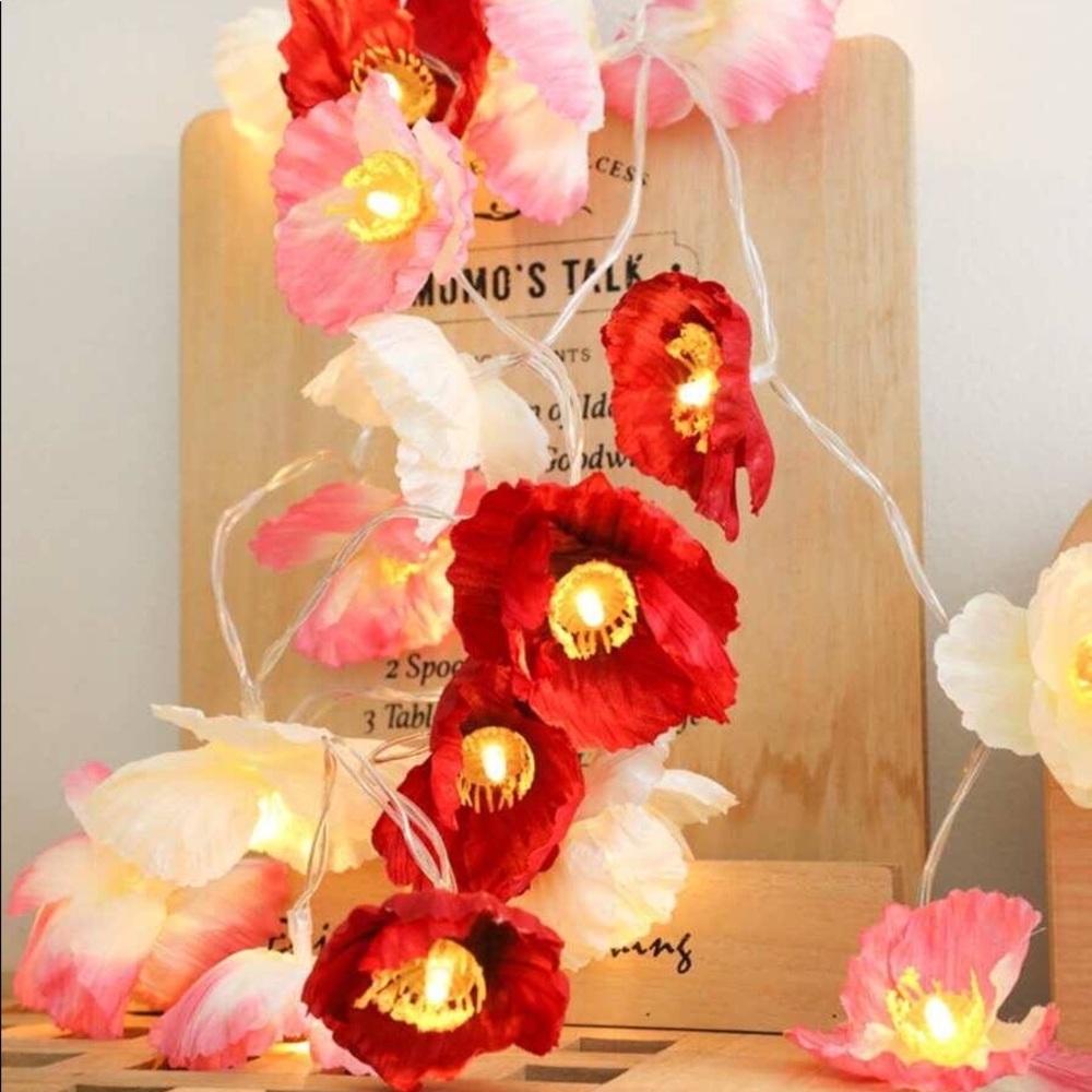 Rose string lights